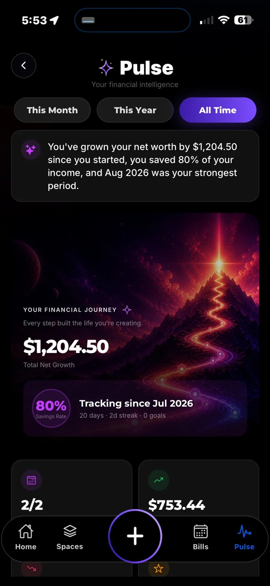Pulse All Time — full financial journey timeline since you started