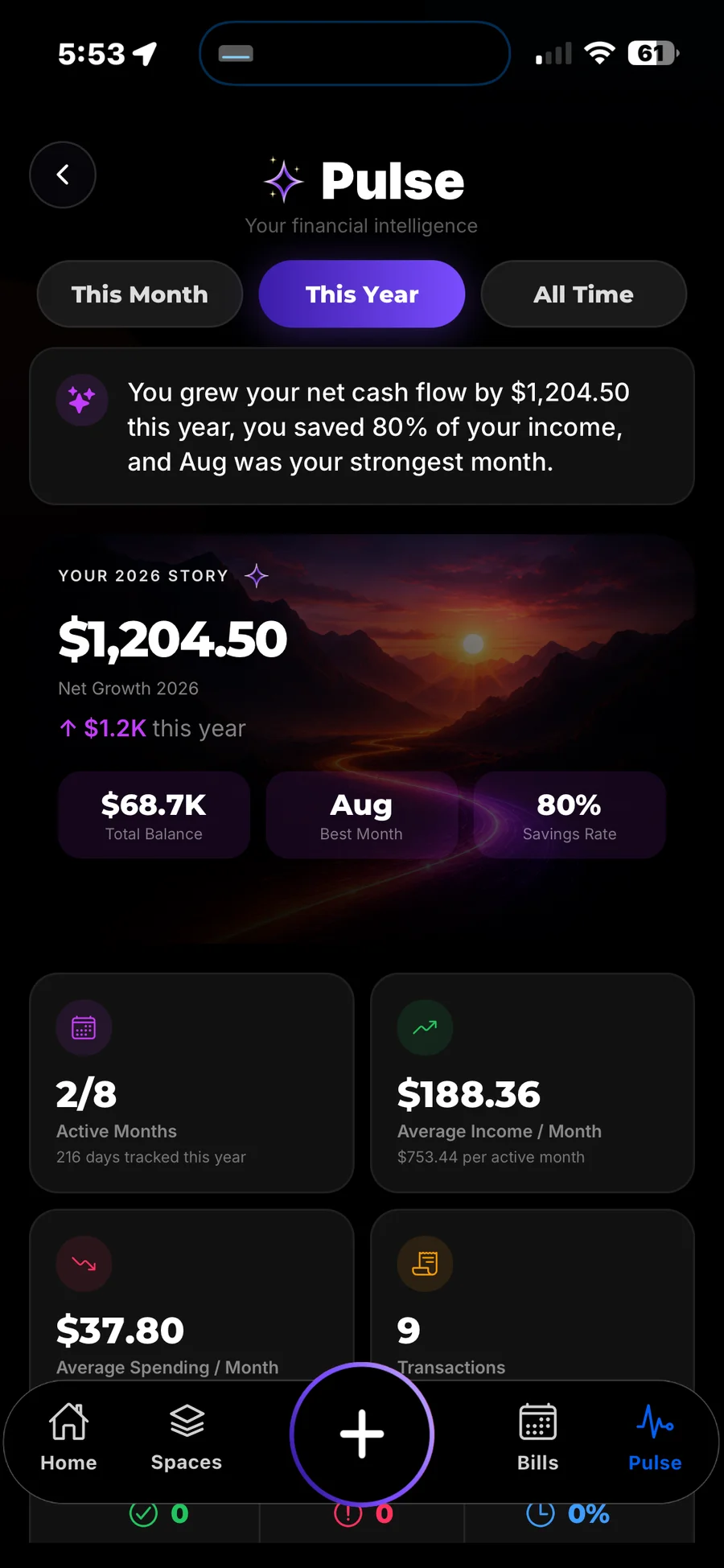 Pulse This Year — strongest month, savings rate, net growth, and yearly balance story